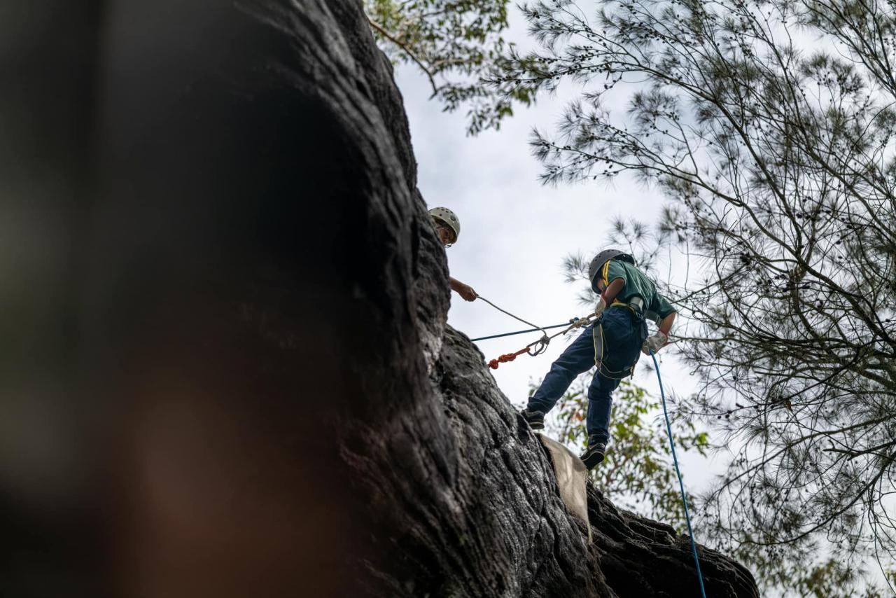 Picnic Point RockSchool 08