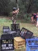 crate stacking 1